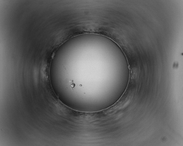 X0000103441202200809121355