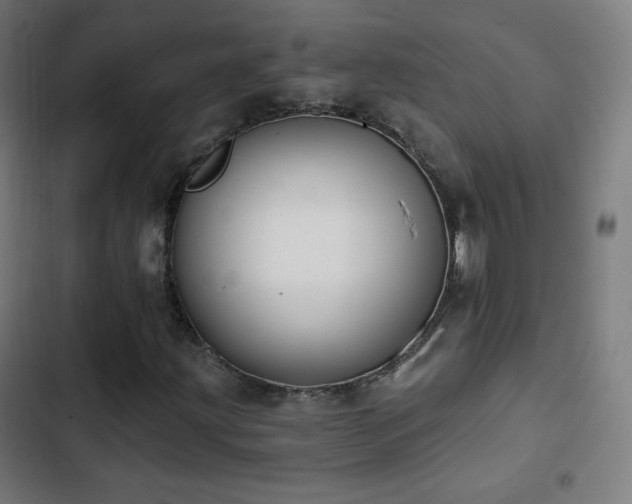X0000103441203200809121355
