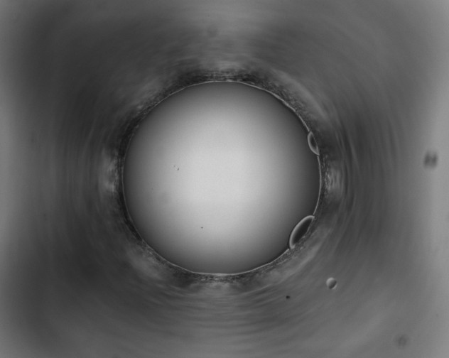 X0000103441204200809121355