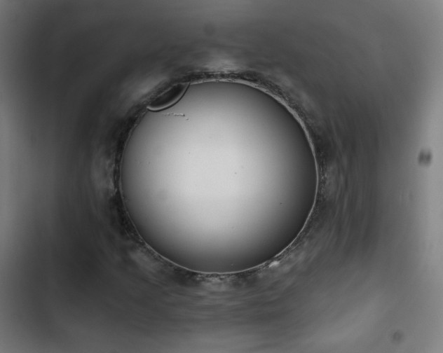 X0000103441205200809121355