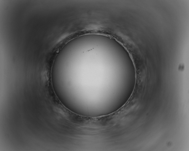 X0000103441206200809121355