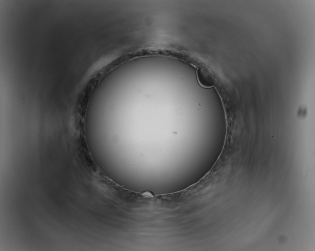 X0000103441207200809121355