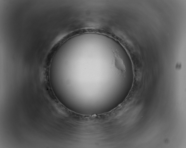 X0000103441208200809121355