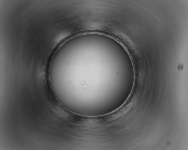 X0000103441210200809121355