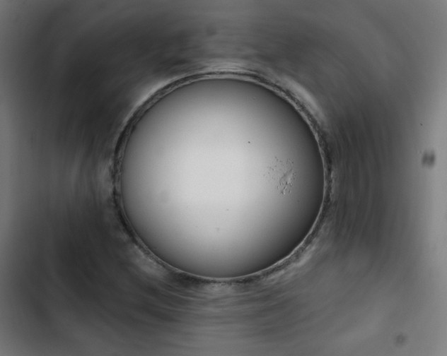 X0000103441212200809121355
