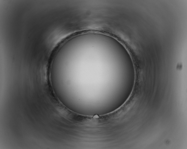 X0000103441214200809121355