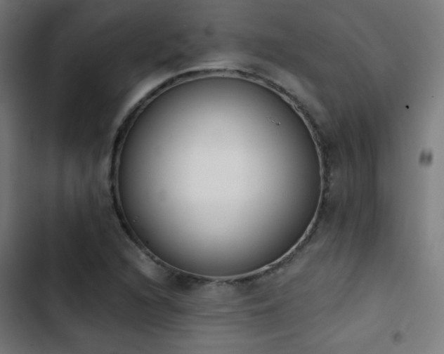 X0000103441216200809121355