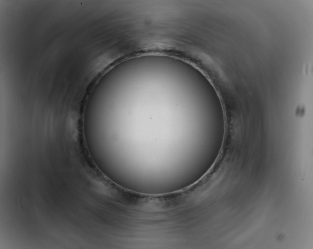 X0000103441217200809121355