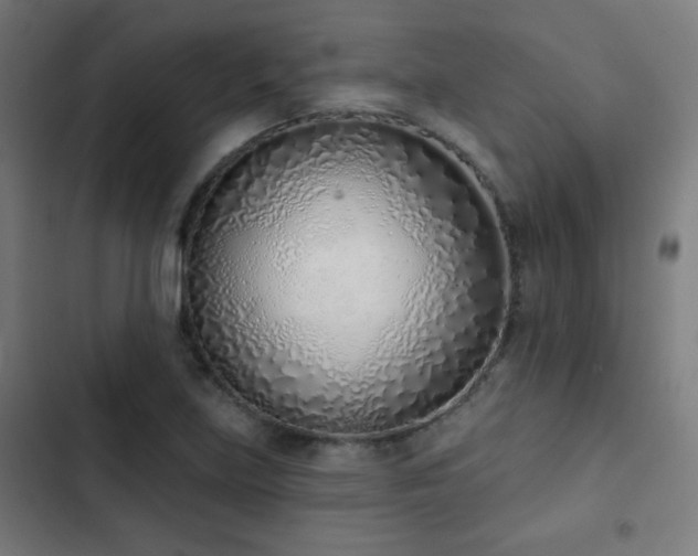 X0000103441219200809121355