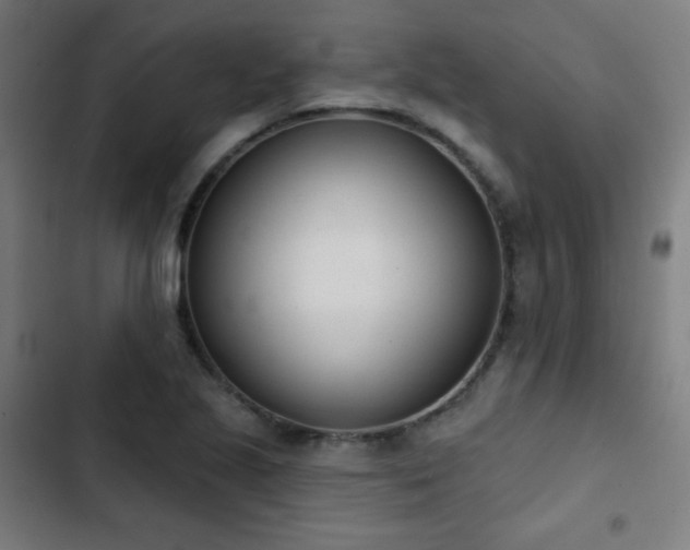 X0000103441221200809121355