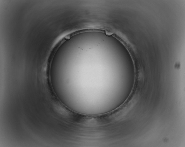 X0000103441222200809121355