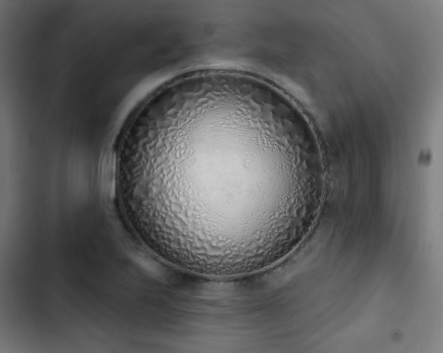 X0000103441223200809121355