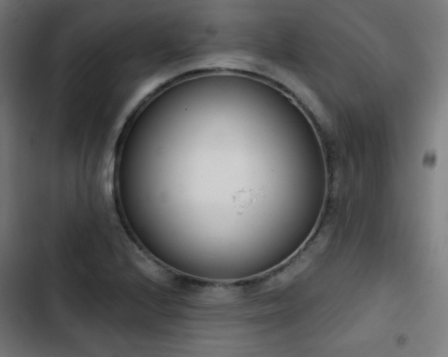 X0000103441224200809121355