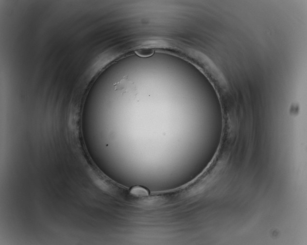 X0000103441225200809121355