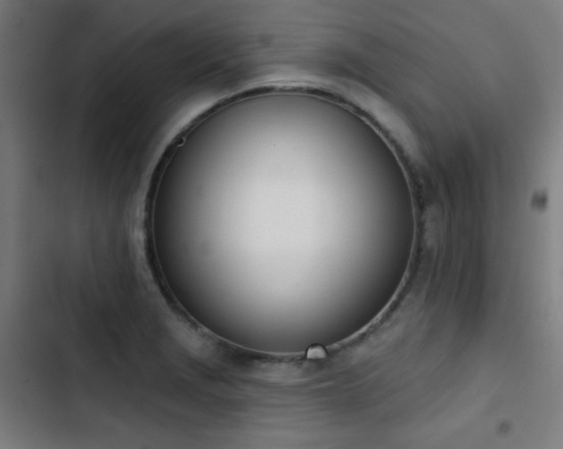 X0000103441229200809121355