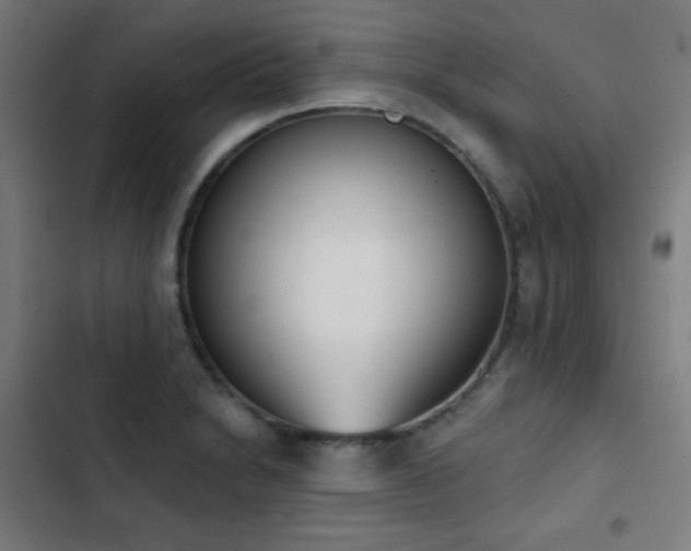X0000103441230200809121355