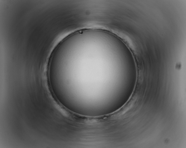 X0000103441231200809121355