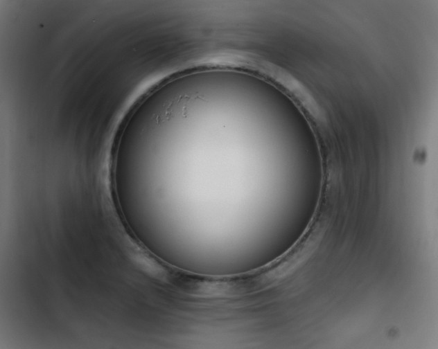 X0000103441232200809121355