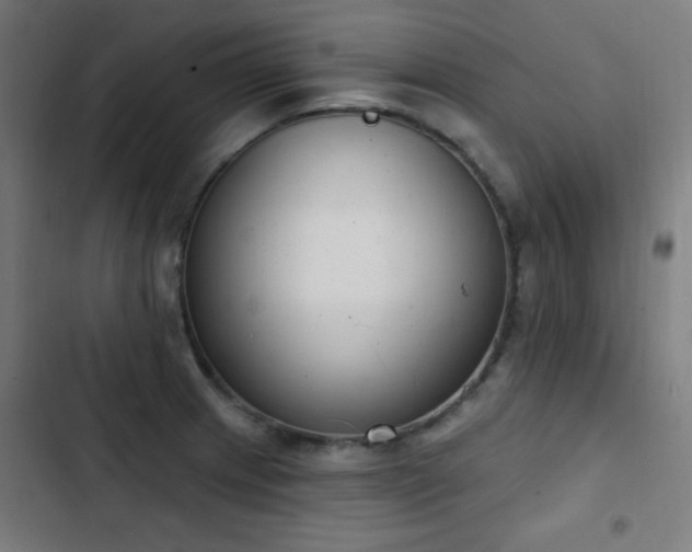 X0000103441233200809121355