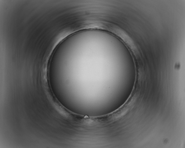 X0000103441234200809121355