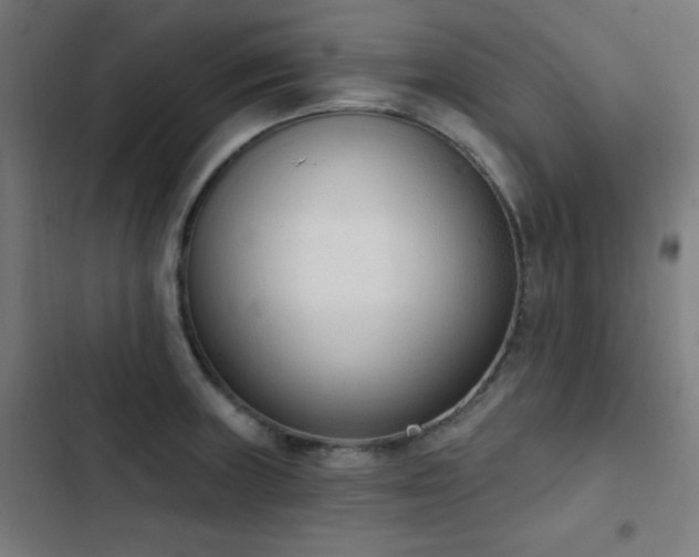X0000103441235200809121355