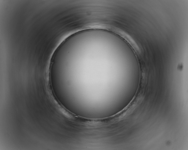 X0000103441236200809121355