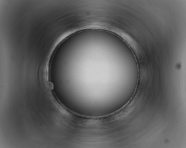 X0000103441238200809121355