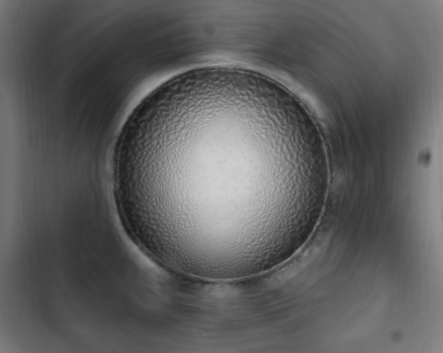 X0000103441239200809121355