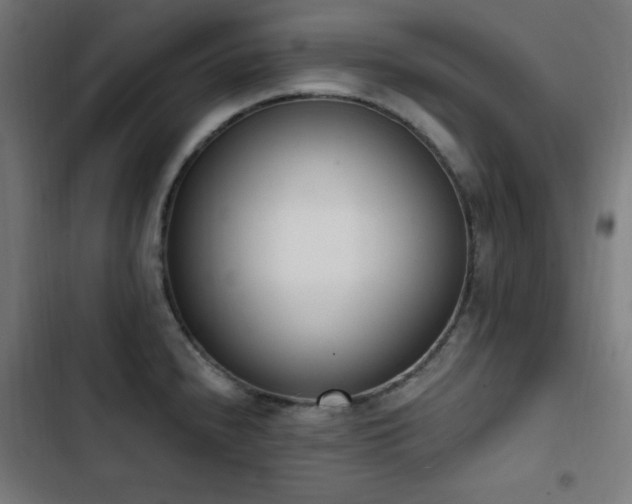X0000103441240200809121355