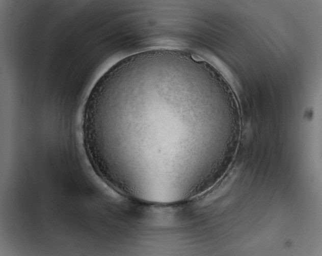X0000103441243200809121355