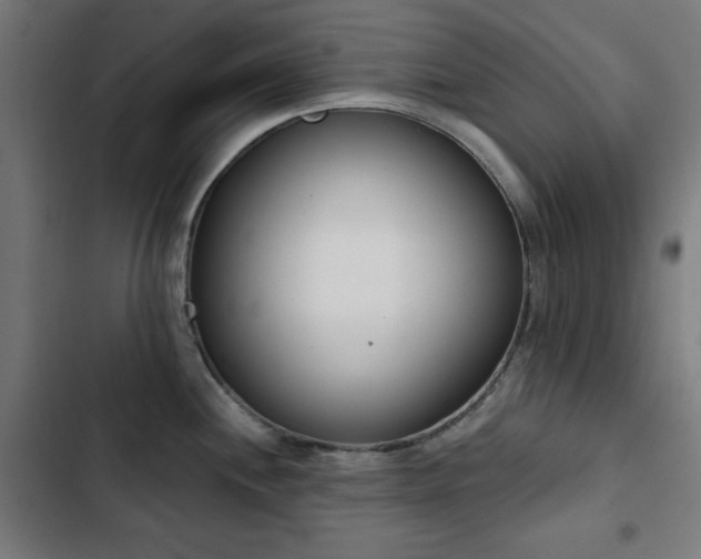 X0000103441244200809121355