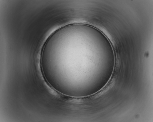 X0000103441245200809121355