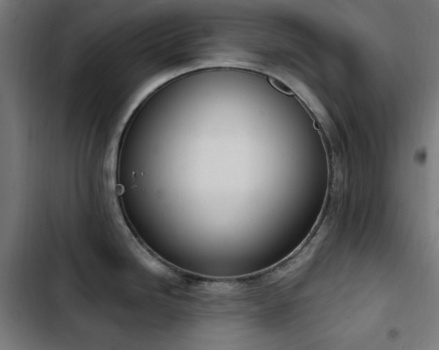 X0000103441246200809121355