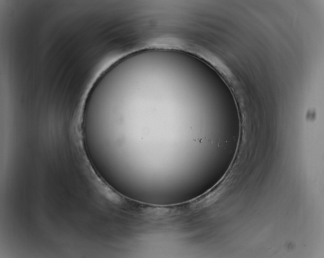 X0000103441248200809121355