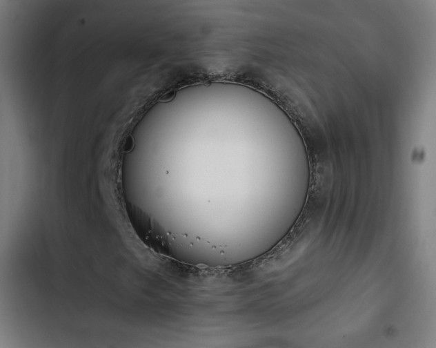 X0000103441249200809121355