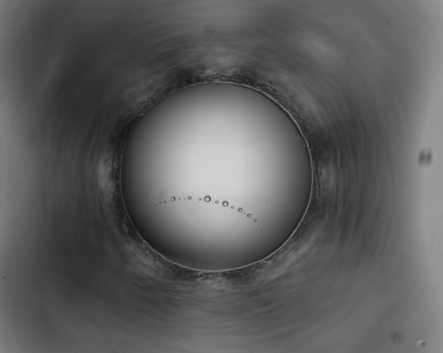 X0000103441250200809121355