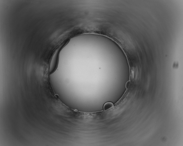X0000103441251200809121355