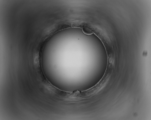 X0000103441252200809121355