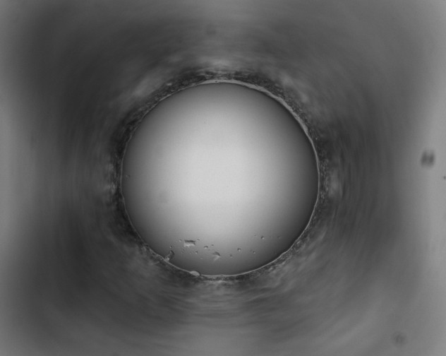 X0000103441253200809121355