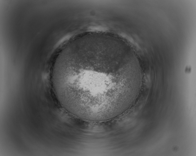 X0000103441254200809121355