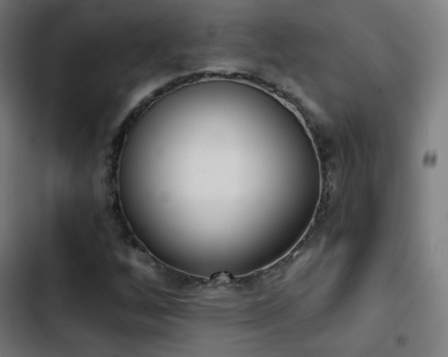 X0000103441256200809121355