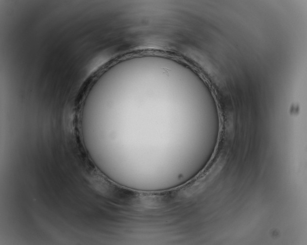 X0000103441258200809121355