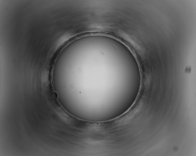 X0000103441259200809121355