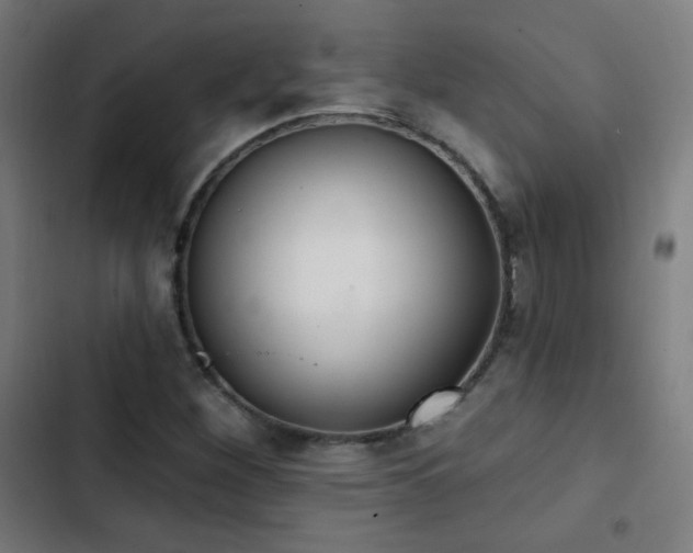 X0000103441260200809121355