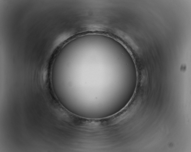 X0000103441261200809121355