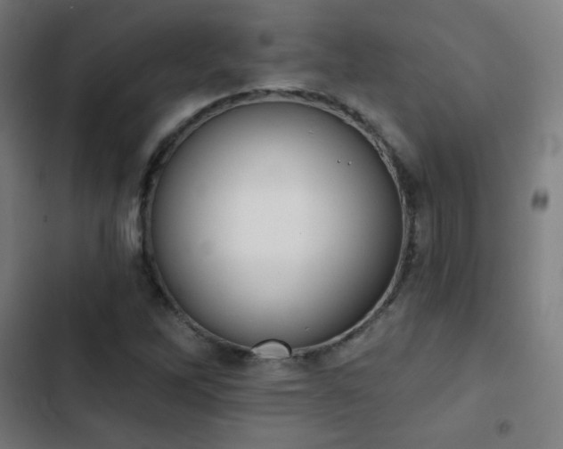 X0000103441262200809121355