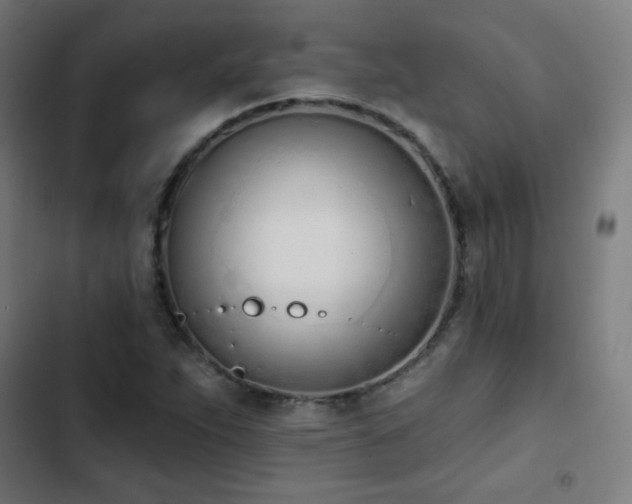 X0000103441263200809121355