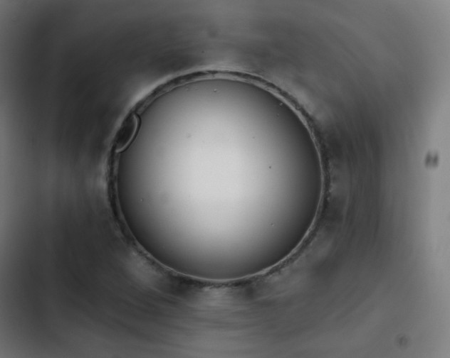 X0000103441264200809121355