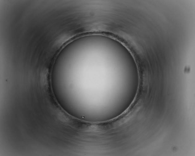 X0000103441265200809121355