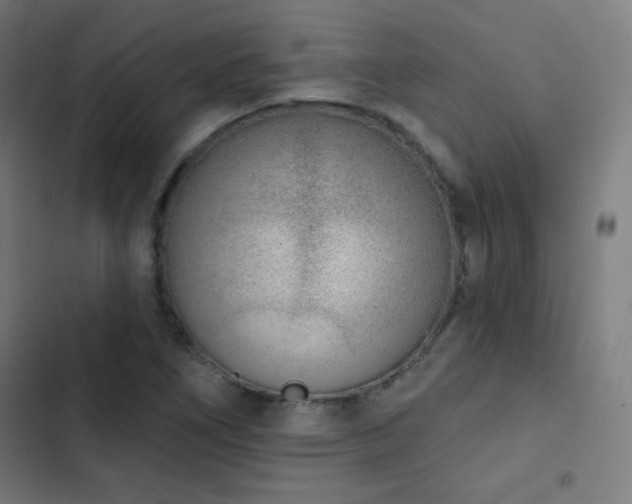 X0000103441266200809121355